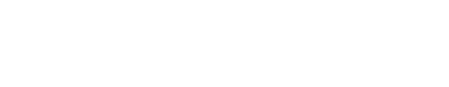 Casino Partner